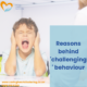 Reasons behind ‘challenging’ behaviour